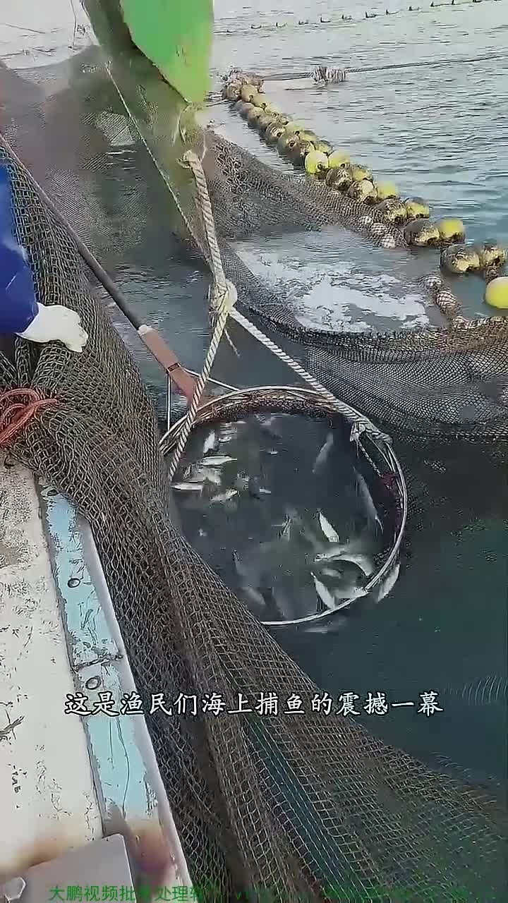 记录渔民海上捕鱼的震撼一幕!