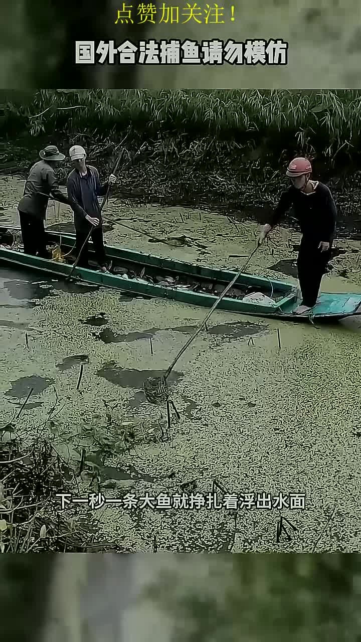 越南渔民不讲武德使用新能源路亚竿捕鱼,把大鱼统统都电昏死过去