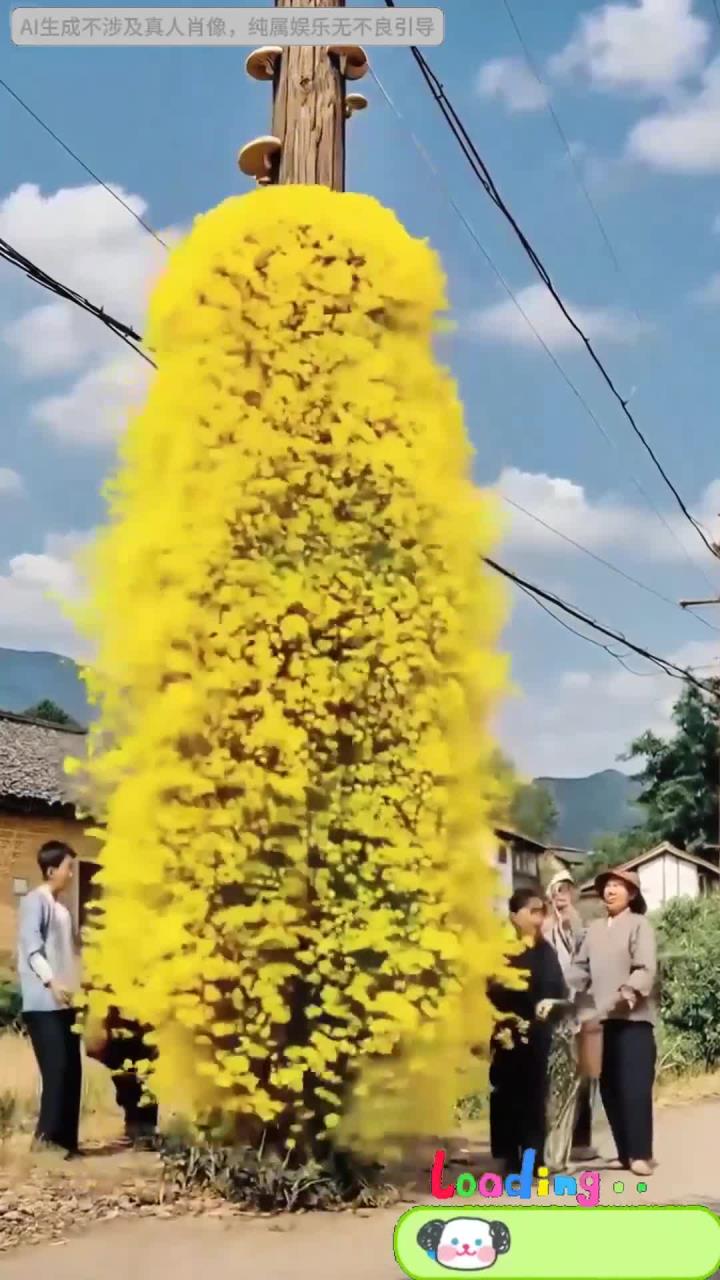 电线杆上长蘑菇？黄花碰变金塔，转眼冒出大公鸡！