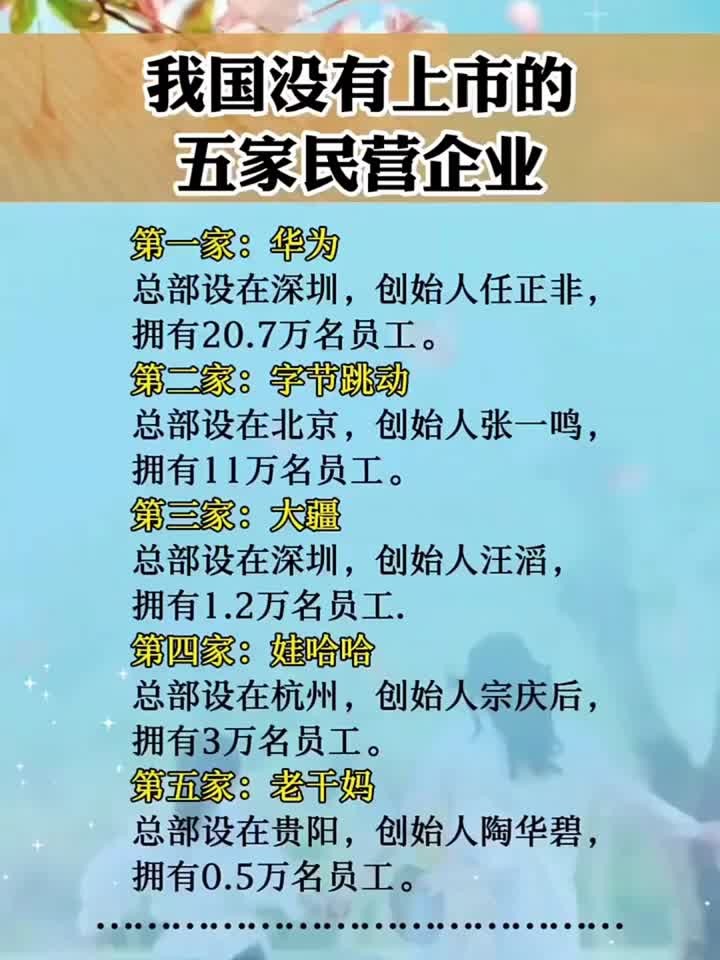我国没有上市的五家民营企业