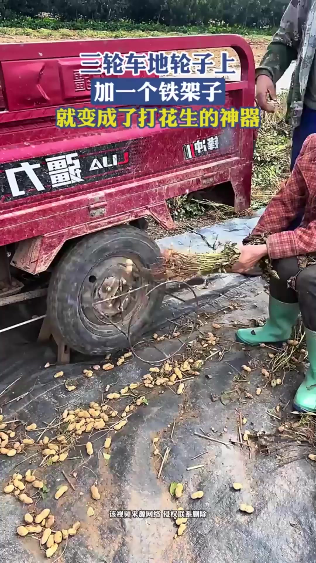 三轮车地轮子上,加一个铁架子,就变成了打花生的神器