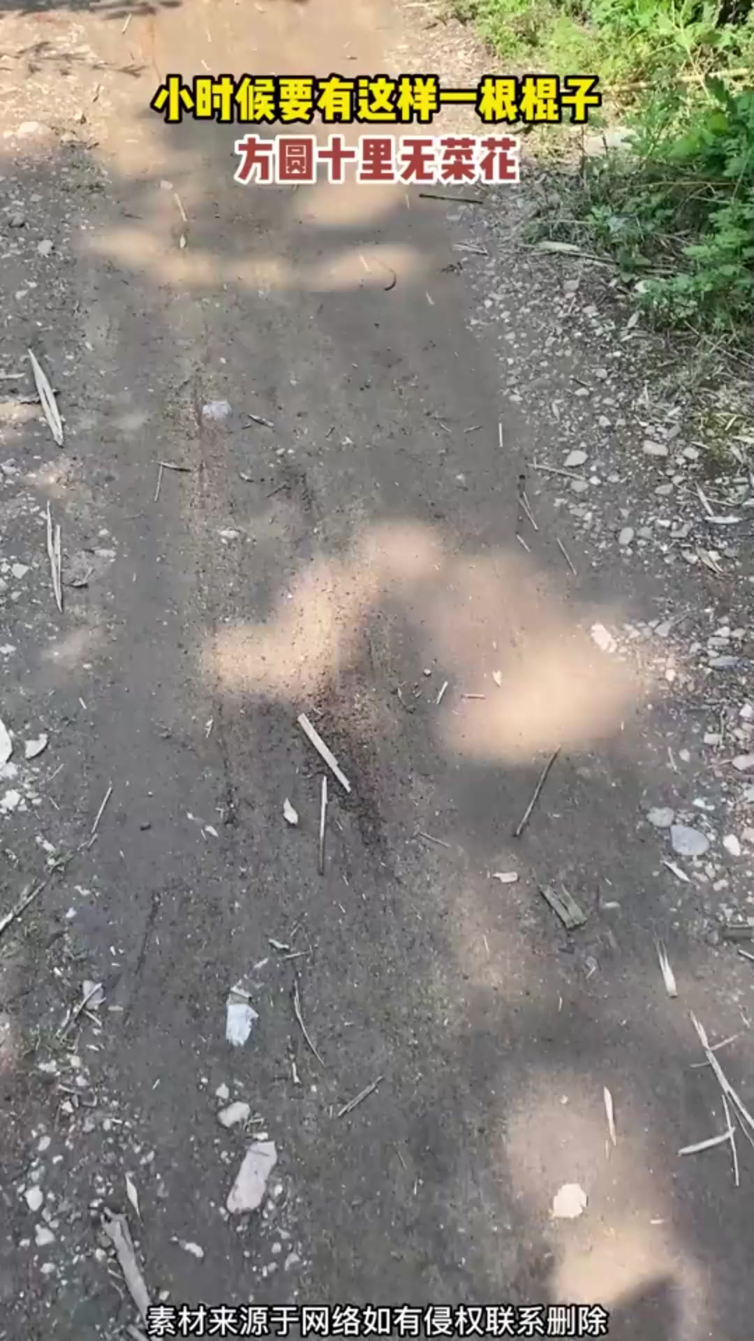 小时候要有这样一根棍子,方圆十里无菜花