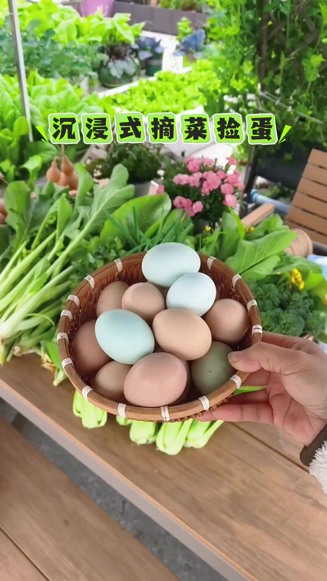 楼顶菜园蔬菜吃不完，沉浸式摘菜、捡蛋送朋友，一共7种蔬菜 今