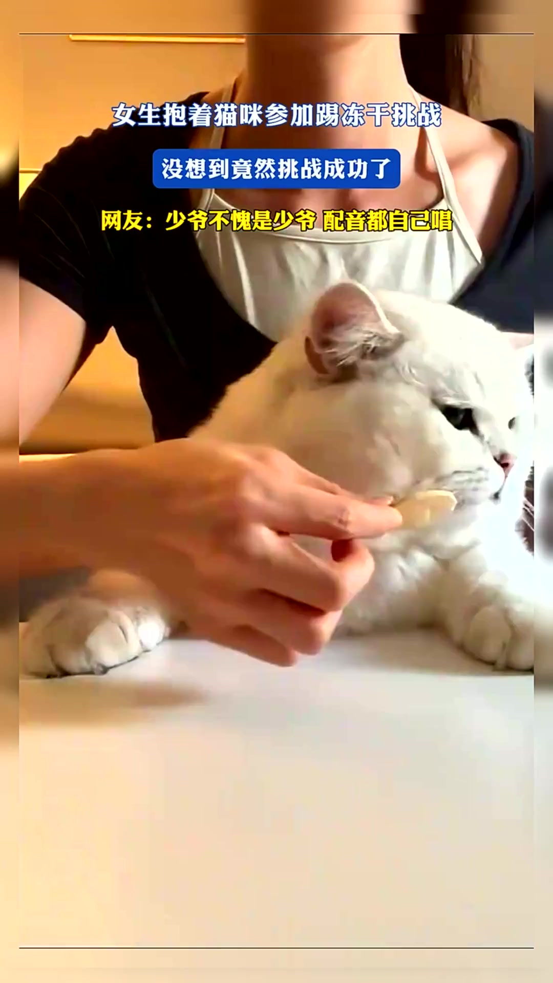 女生抱着猫咪参加踢冻干挑战,没想到竟然挑战成功了