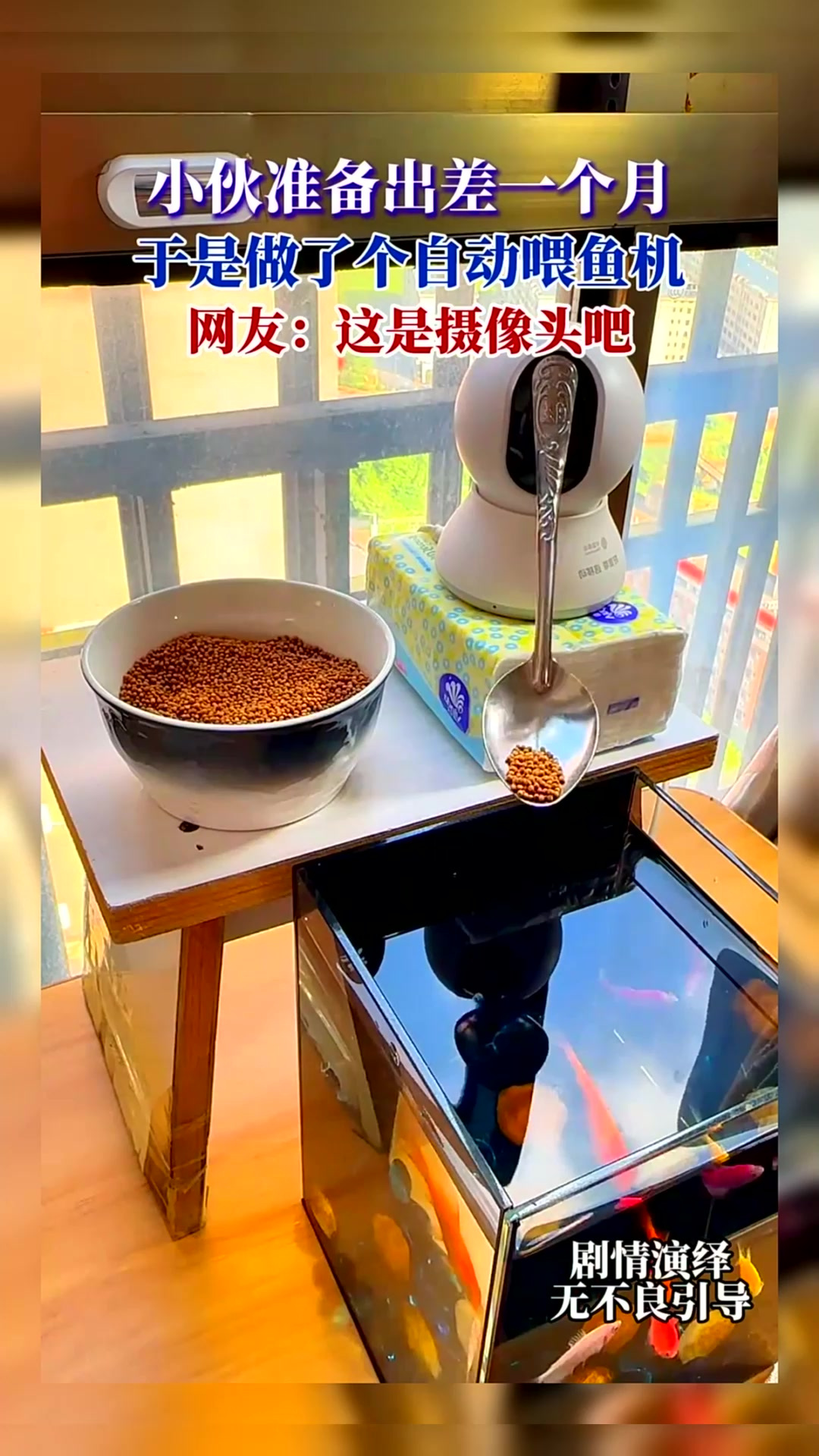 小伙准备出差一个月,于是做了个自动喂鱼机,网友:这是摄像头吧