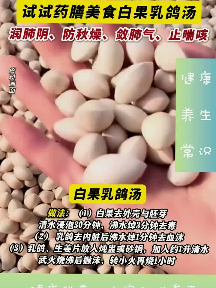 “一鸽胜九鸡”!试试药膳美食白果乳鸽汤,润肺阴、防秋燥、敛肺