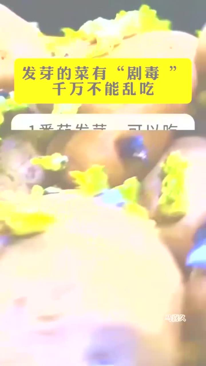 发芽的菜有剧毒 千万不能乱吃
