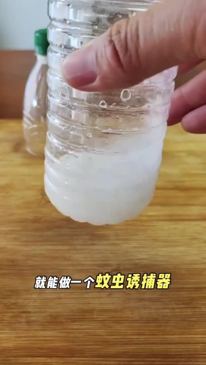 灭苍蝇神器：自制的居家小工具