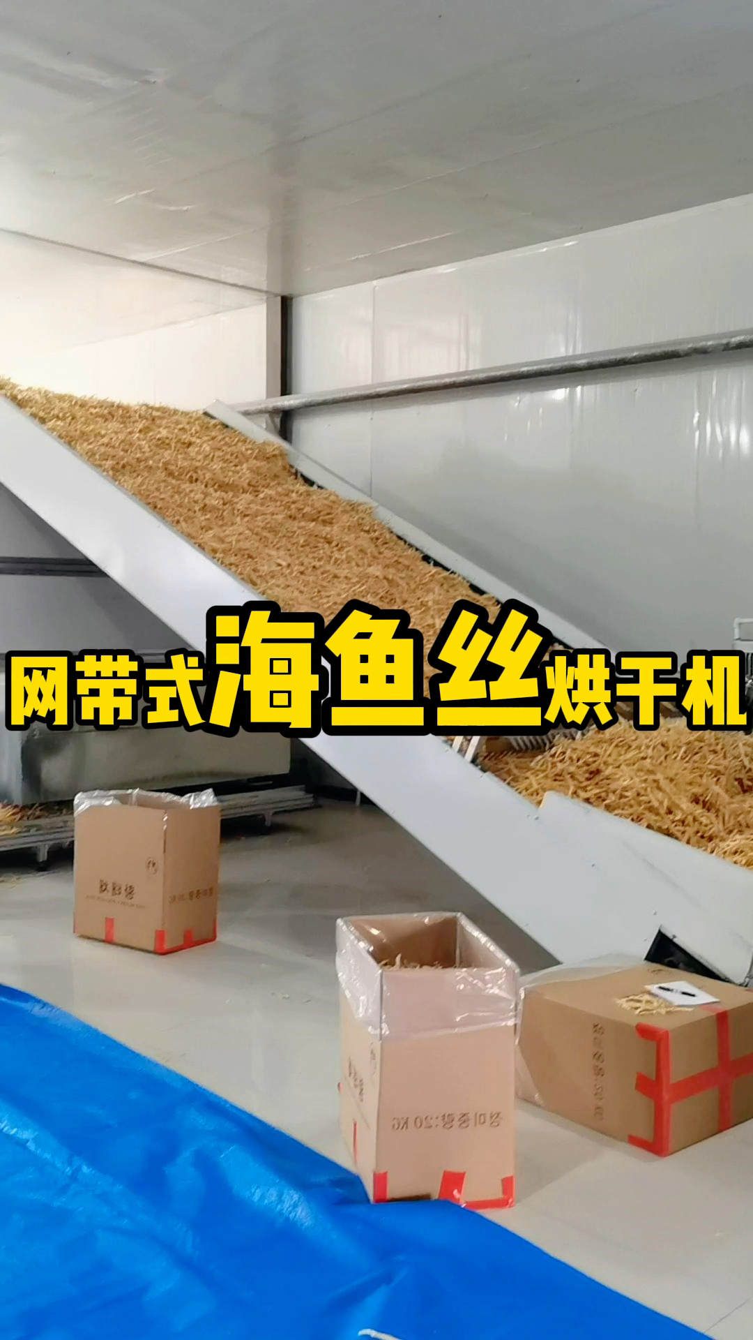 吉林大哥靠加工海鱼丝过上了好日子#鱿鱼丝烘干机 #海鱼丝烘干机 #鱼干烘干机
