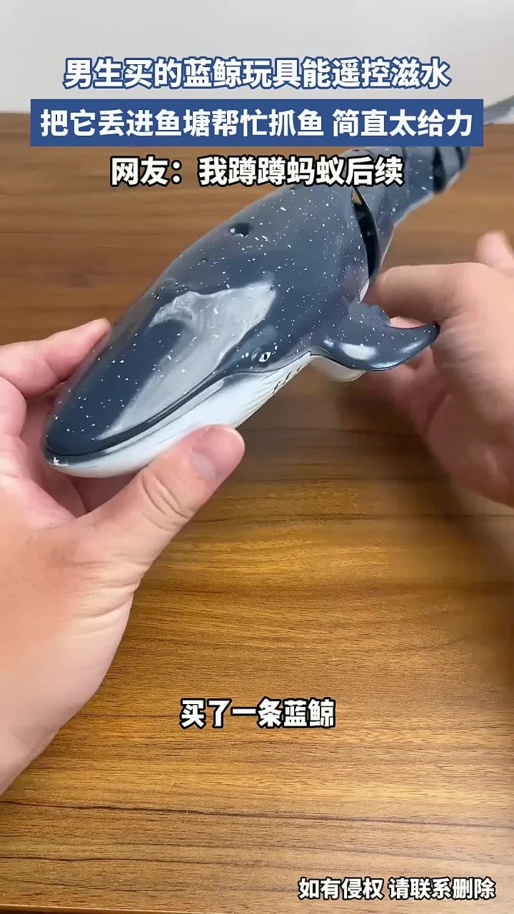 男生买的蓝鲸玩具能遥控滋水,把它丢进鱼塘帮忙抓鱼,简直太给力