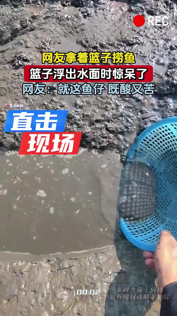 网友拿着篮子捞鱼,篮子浮出水面时惊呆了,网友:就这鱼仔 既酸又苦