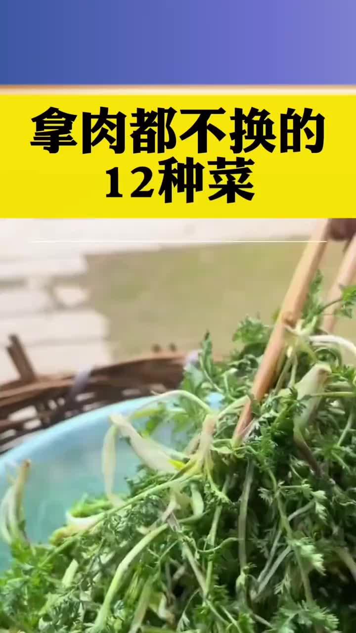 拿肉都不换的十二种菜