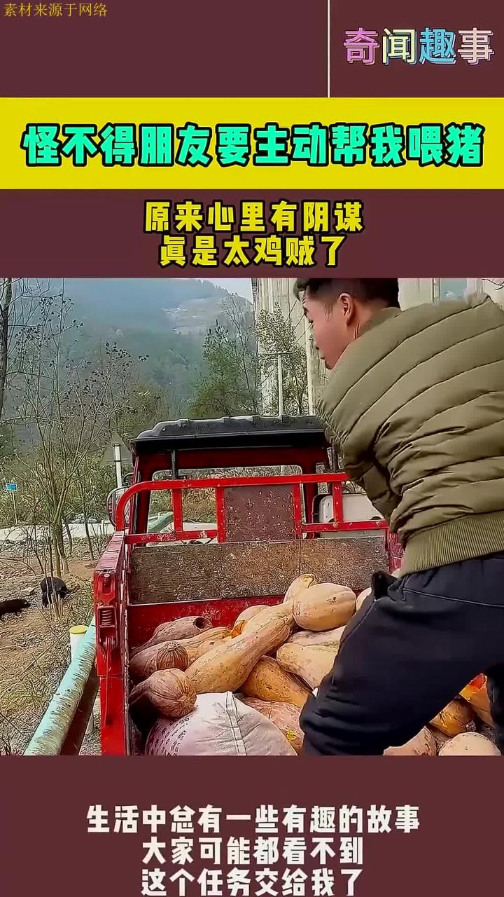 怪不得朋友要主动帮我喂猪,原来心里有阴谋,真是太鸡贼了