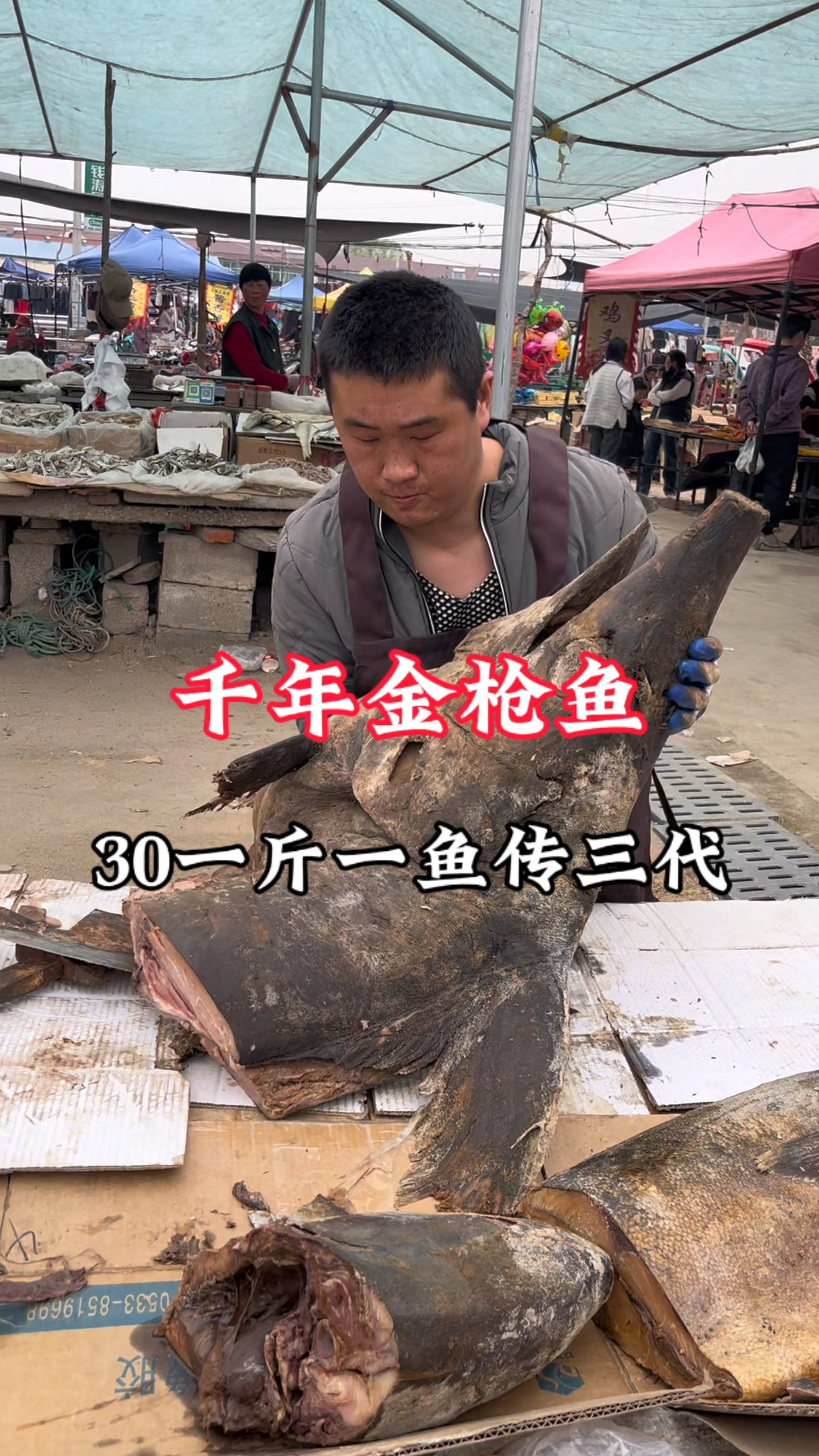 山东大集特色金枪鱼30一斤,一鱼祖传三代做法讲究,这场面不多见