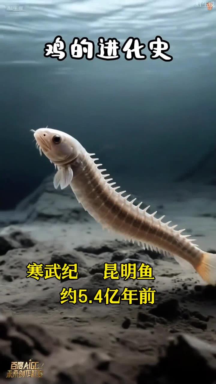 揭秘鸡的祖先起源,探索演变全过程,展现现代鸡形态