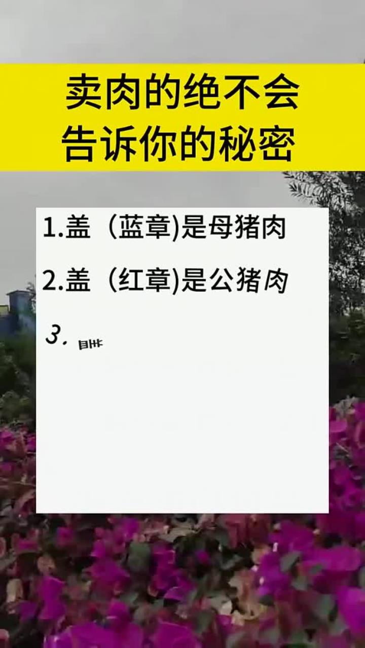 卖肉的绝不会告诉你:盖(蓝章)是母猪肉,盖(红章)是公猪肉