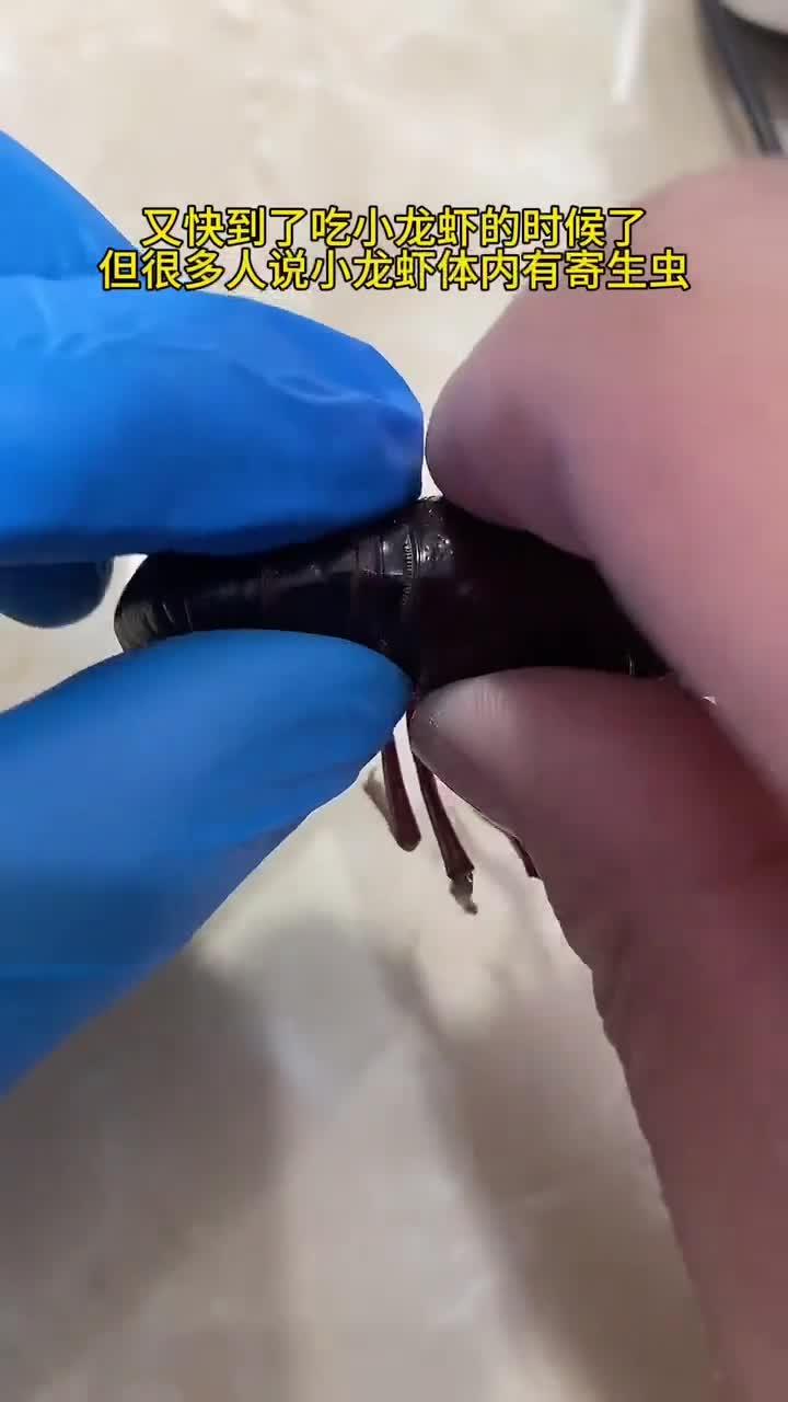 你觉得小龙虾体内,会有寄生虫吗?