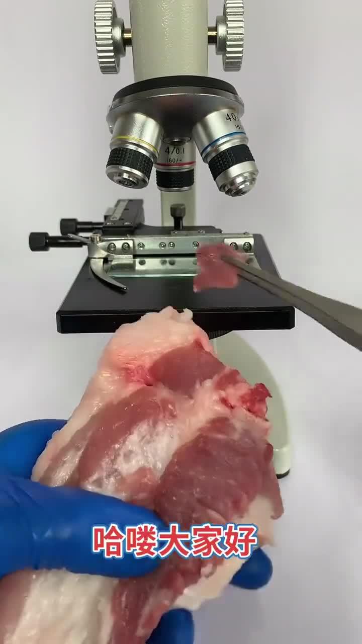 吃猪肉到底会胖吗