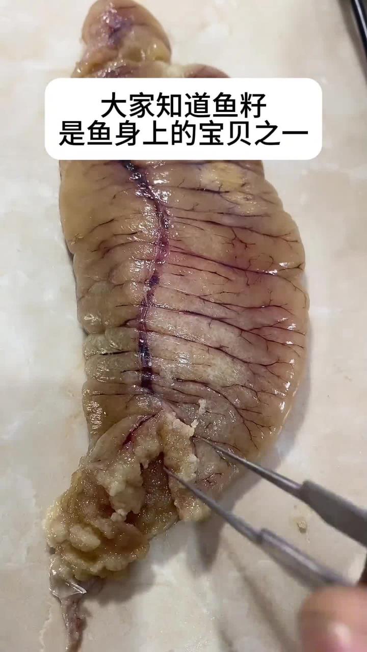 你们吃鱼时,会把鱼籽丢掉吗?