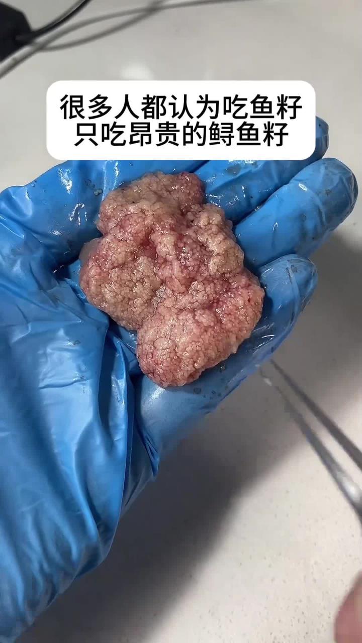 你吃过鲤鱼籽吗?