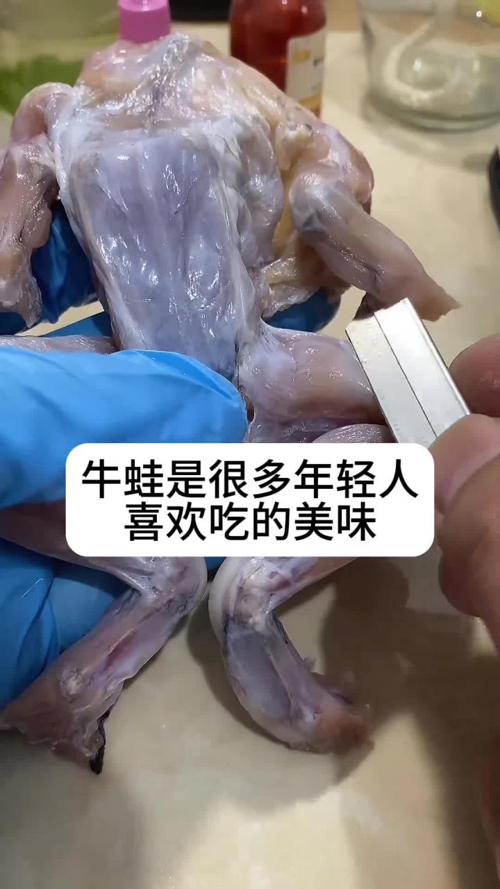 你喜欢吃牛蛙吗?