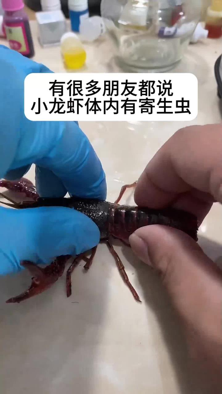 小龙虾真的有寄生虫