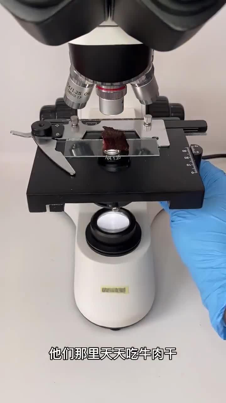 有爱吃牛肉干的朋友吗