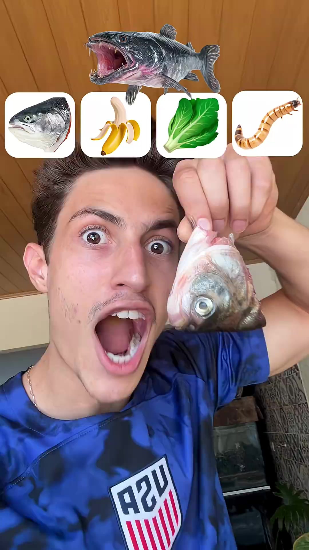 选鱼爱吃的食物