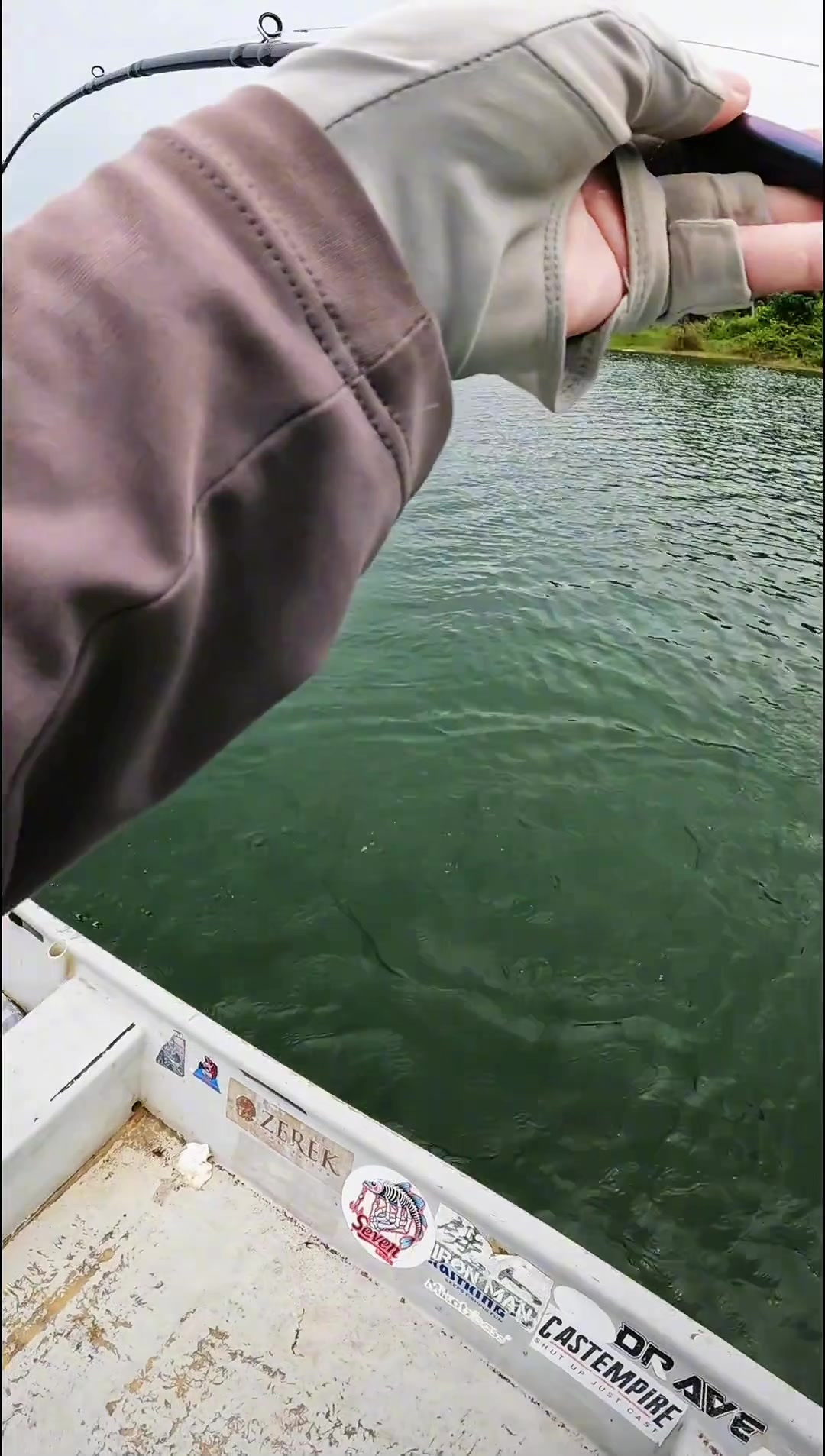 不同时期的鱼颜色不一样