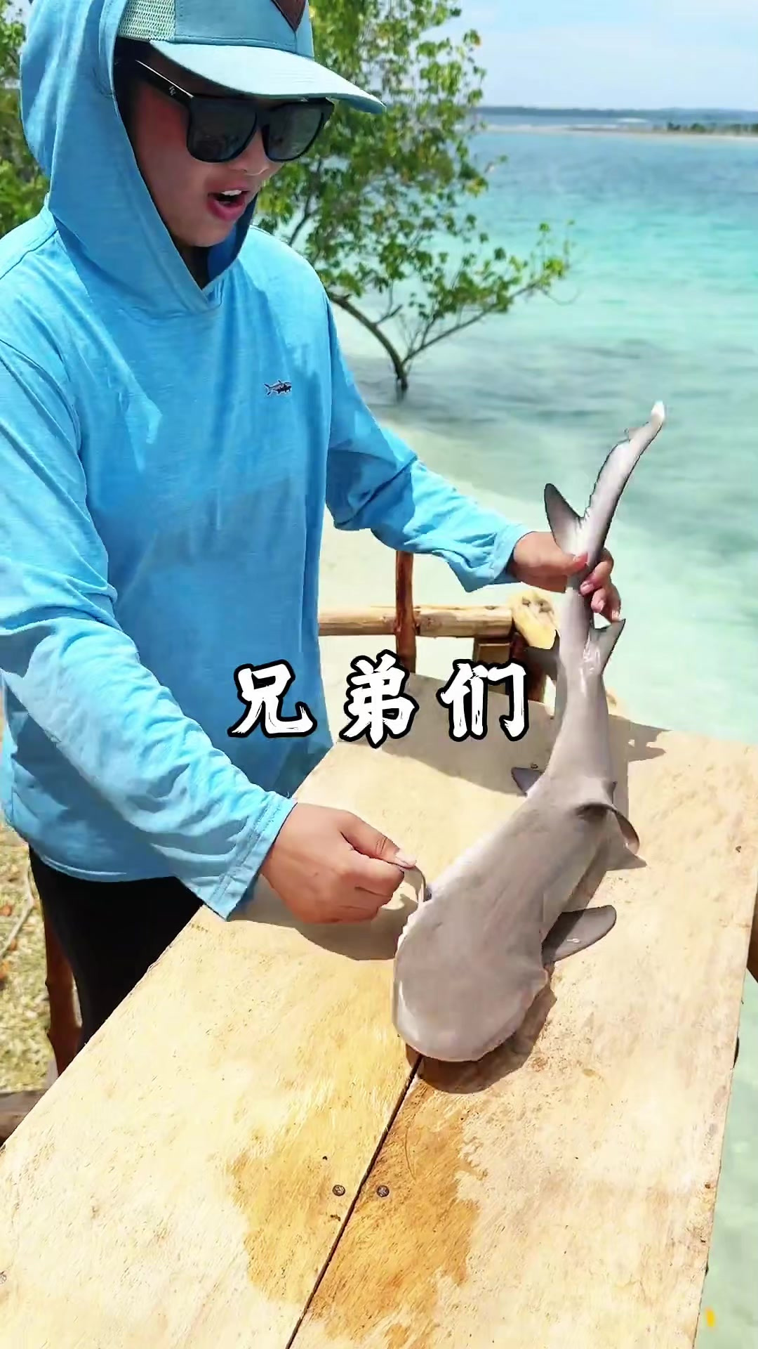 鲨鱼的味道太臭了
