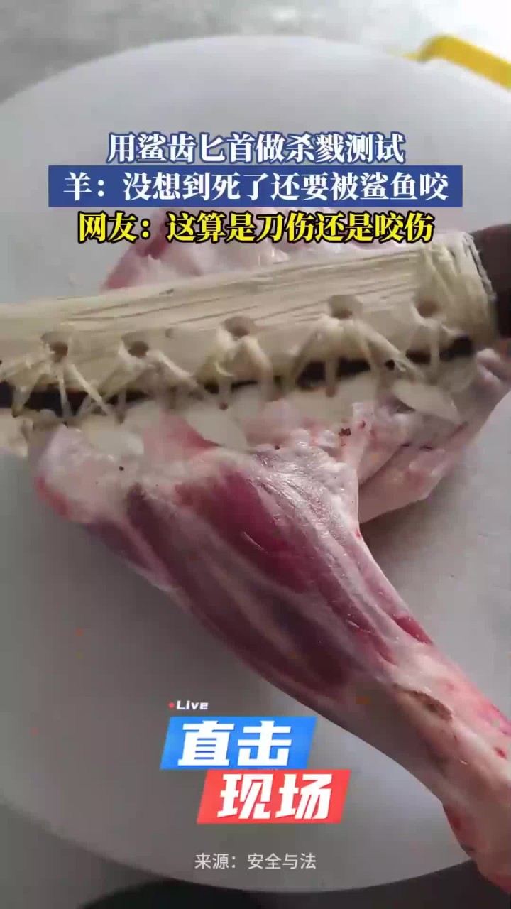 用鲨齿匕首做杀戮测试，羊：没想到死了还要被鲨鱼咬