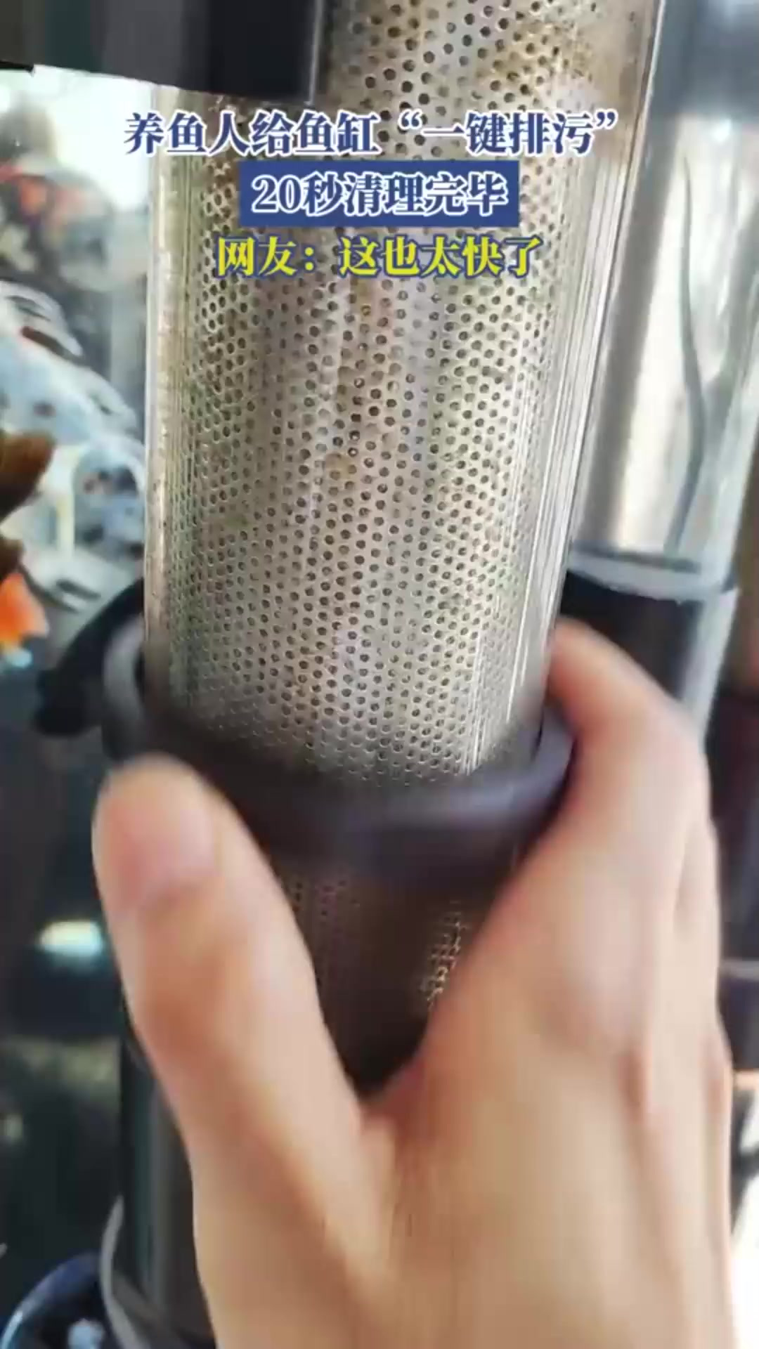 养鱼人给鱼缸“一键排污”,20秒清理完毕,网友:这也太快了