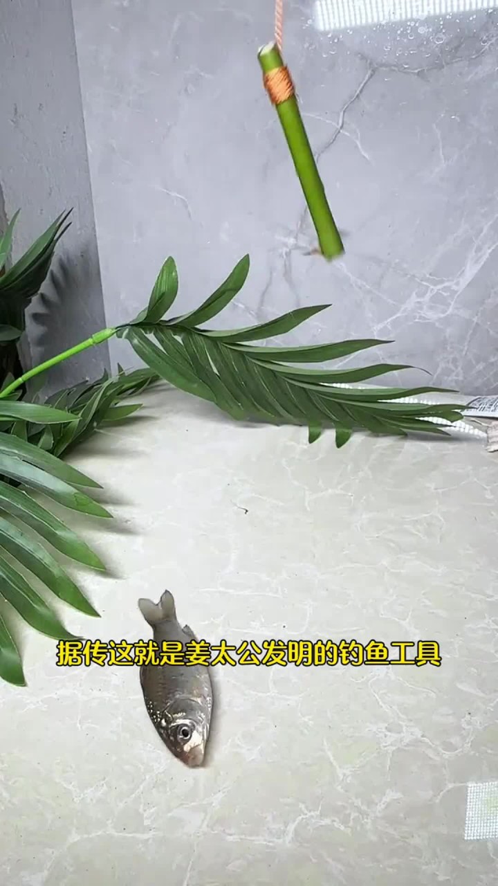 古代钓鱼小技巧
