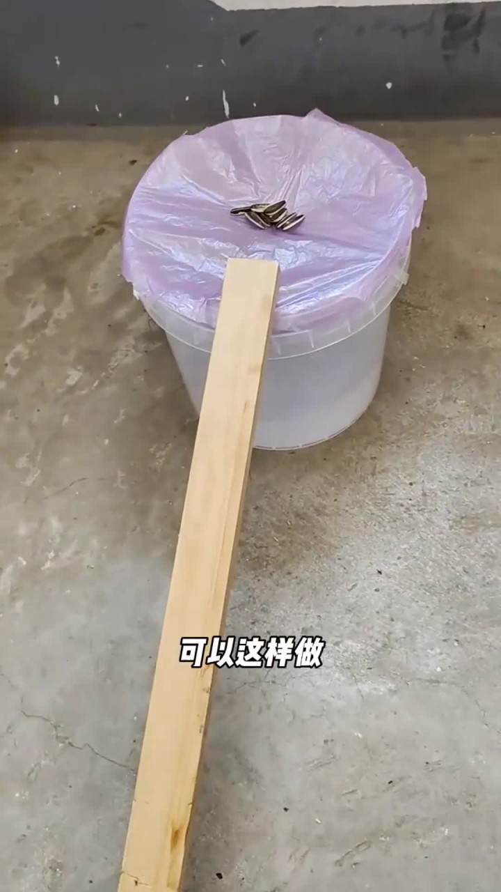不用夹子不用药,老鼠来一个抓一个,自制抓老鼠神器