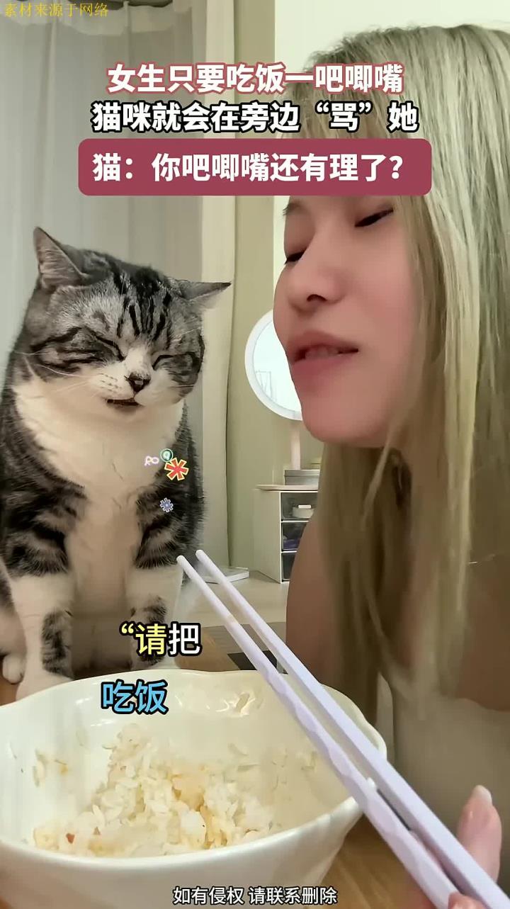 女生只要吃饭,一吧唧嘴,猫咪就会在旁边“骂”她