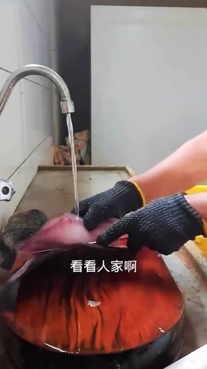 刺身鱼分割处理全过程