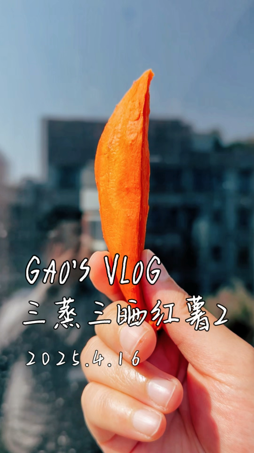 三蒸三晒红薯干2.0！消失的红薯干！！#红薯干 #倒蒸香薯干