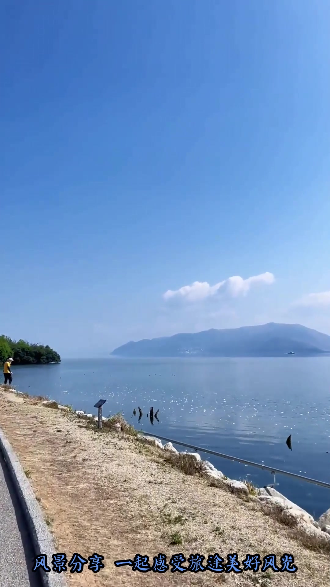 夏季旅游,大理洱海的海菜花,又名“水性杨花”不仅好看还好吃!