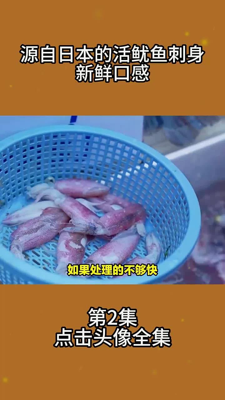 源自日本的活鱿鱼刺身新鲜口感2