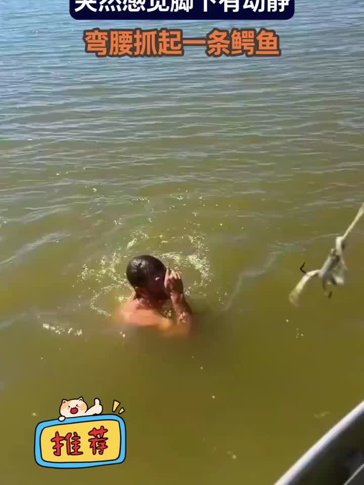 男子在水中游玩，突然感觉脚下有动静，弯腰抓起一条鳄鱼