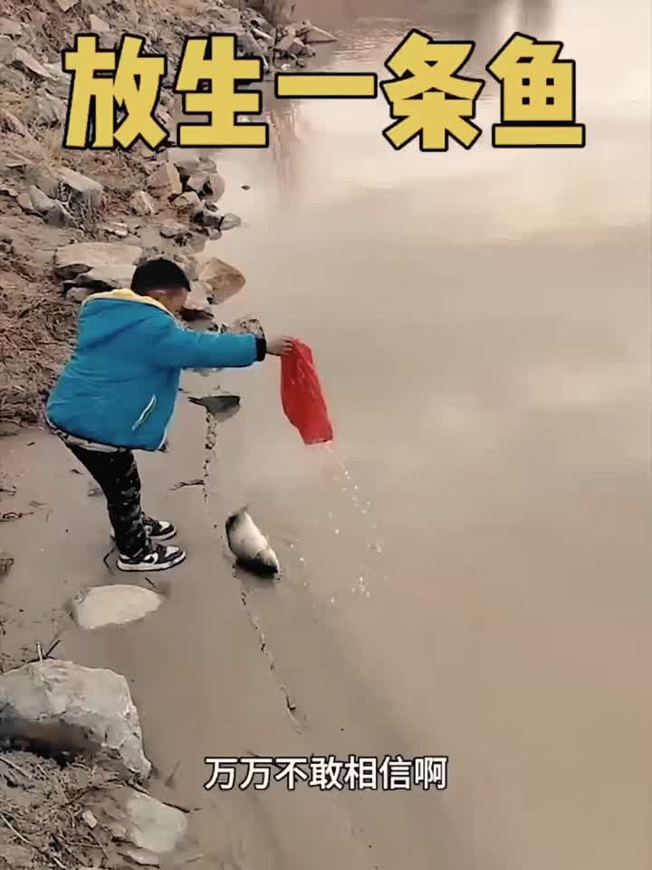 孩子因爱心放生鱼,令人感动又担忧其生存状态