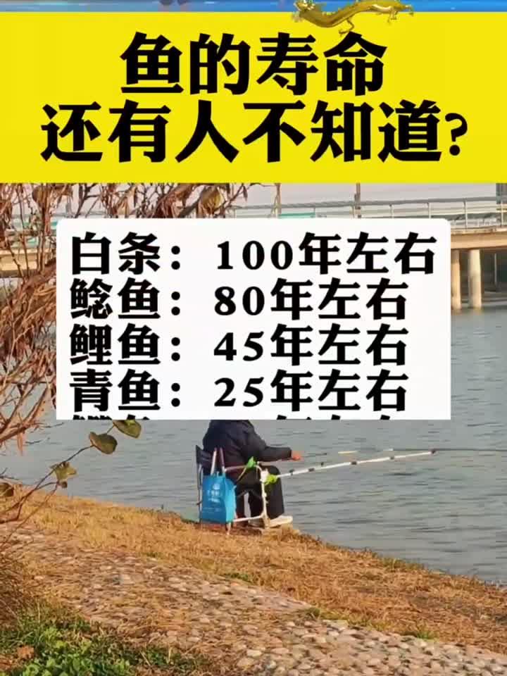 常见鱼类的寿命