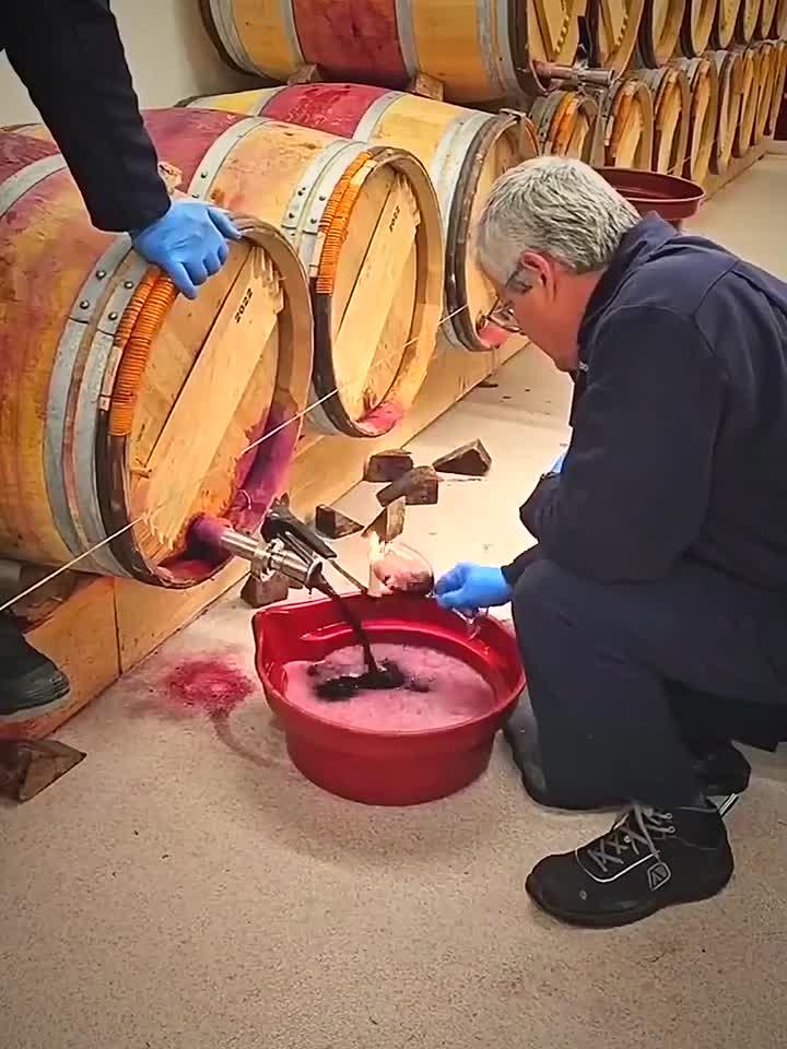 酿制葡萄酒怎么提纯?葡萄酒装酒为什么要在蜡烛上烧一下?
