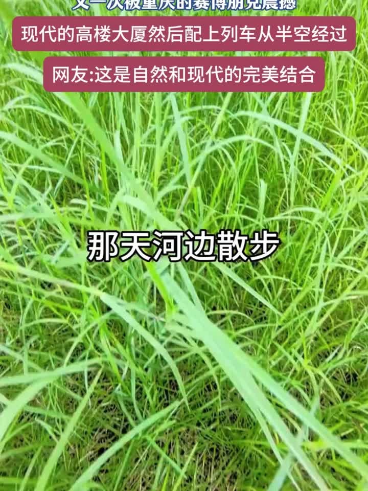 有一次被重庆的赛博朋克震撼,大自然和现代艺术完美融合