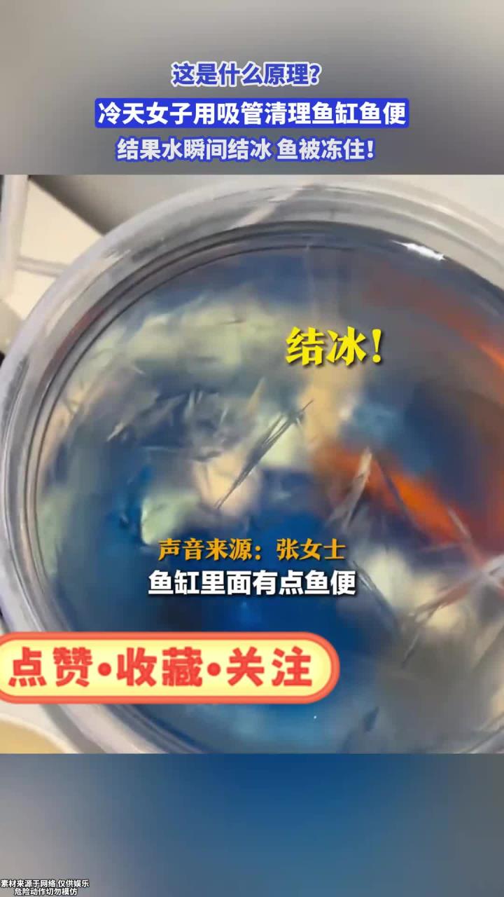 这是什么原理?冷天女子用吸管清理鱼缸鱼便,结果水瞬间结冰!