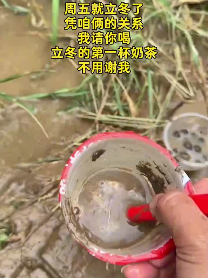 立冬的第一杯奶茶是主动给的，而不是伸手要的