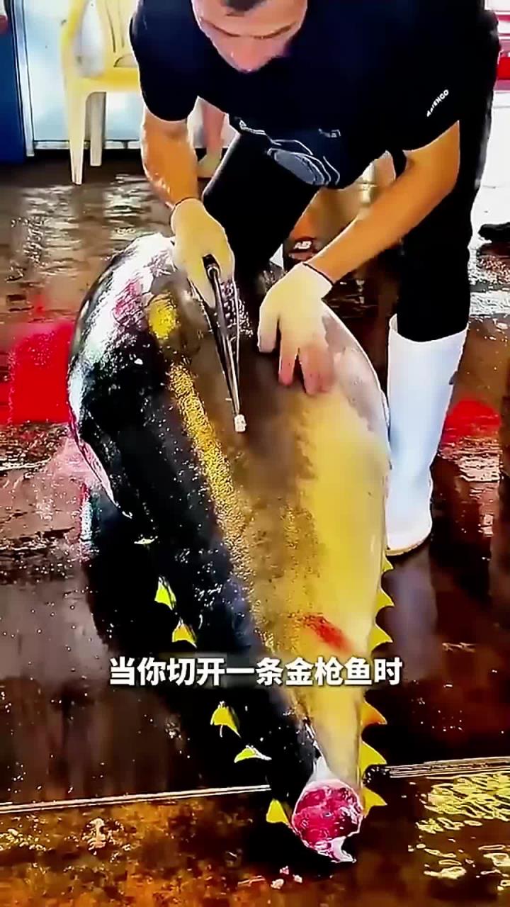 金枪鱼身体里竟然有一块黑肉，原来不是坏掉了！