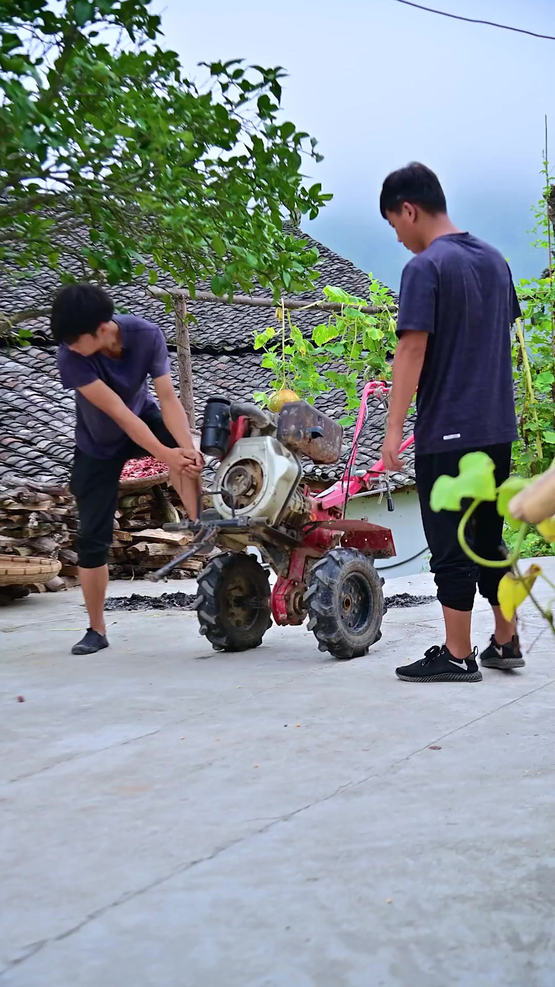 又开始种冬天的菜了，白菜、萝卜等，煮火锅可好吃了！