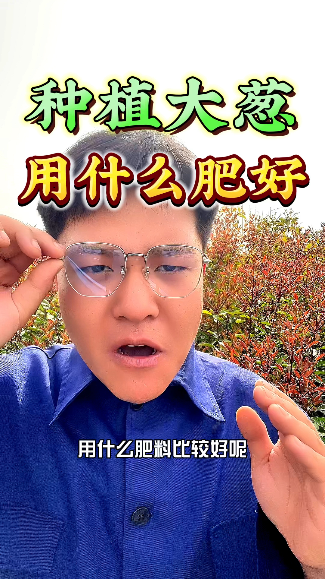 种植大葱时,用什么肥料比较好呢?