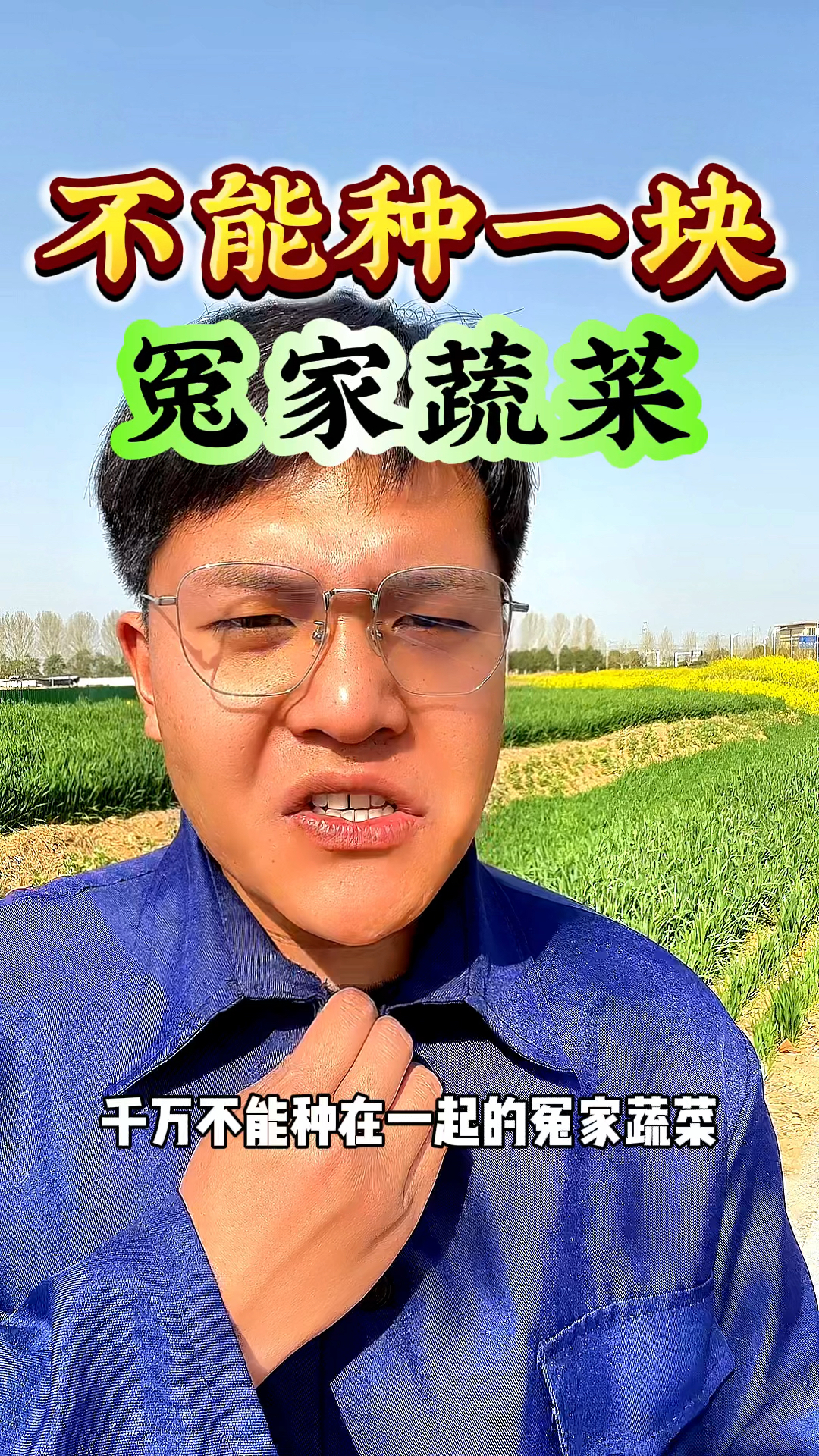 不能种植在一起的冤家小蔬菜有哪些
